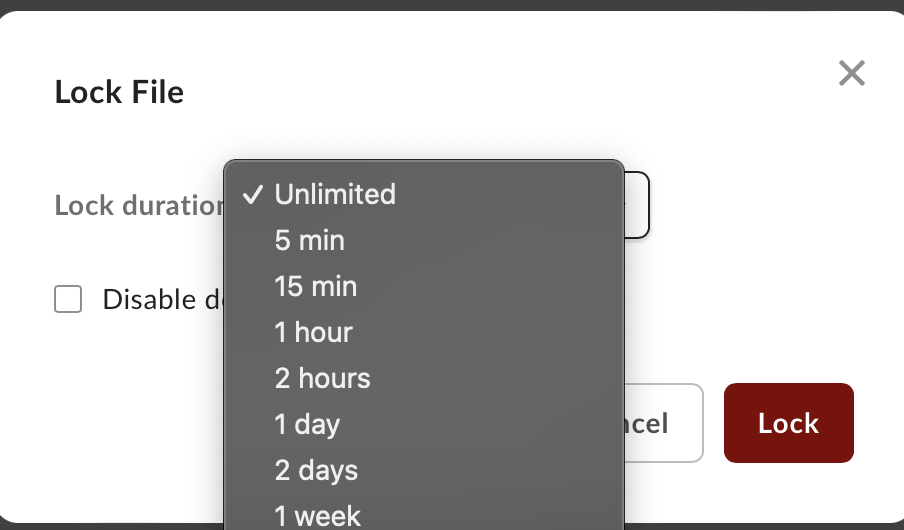 Lock file option