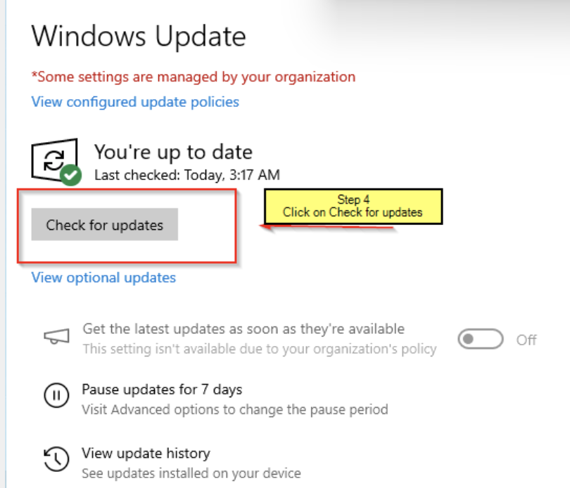 Windows Check for Updates.png