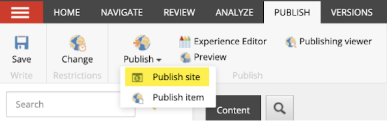 Publish Item