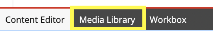 Media Library (Content Editor)