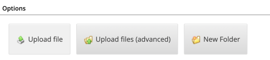 File Upload (Batch of Files)