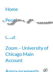 Canvas Course Navigation - Zoom Link