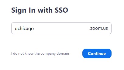 Sign in through specific domain 