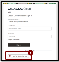 A screenshot of a login page

Description automatically generated