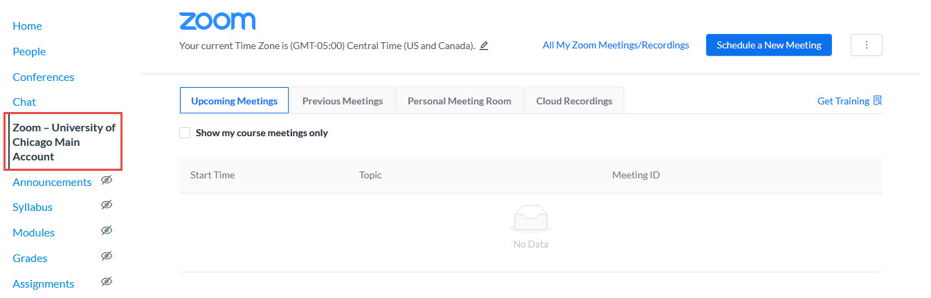 Canvas Zoom Interface