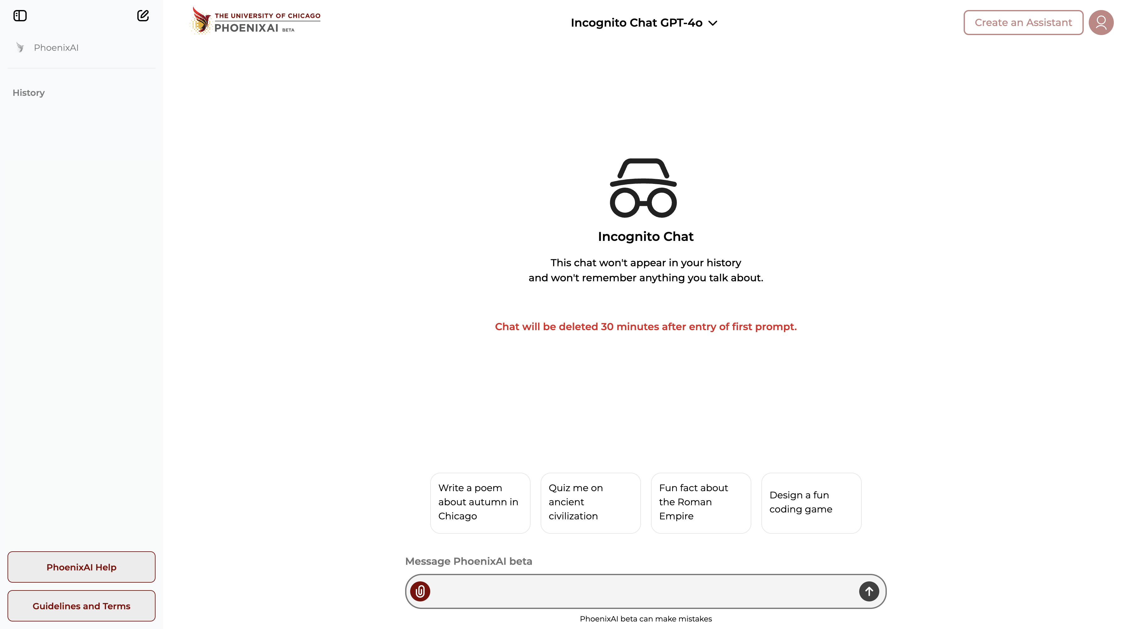 incognito chat view