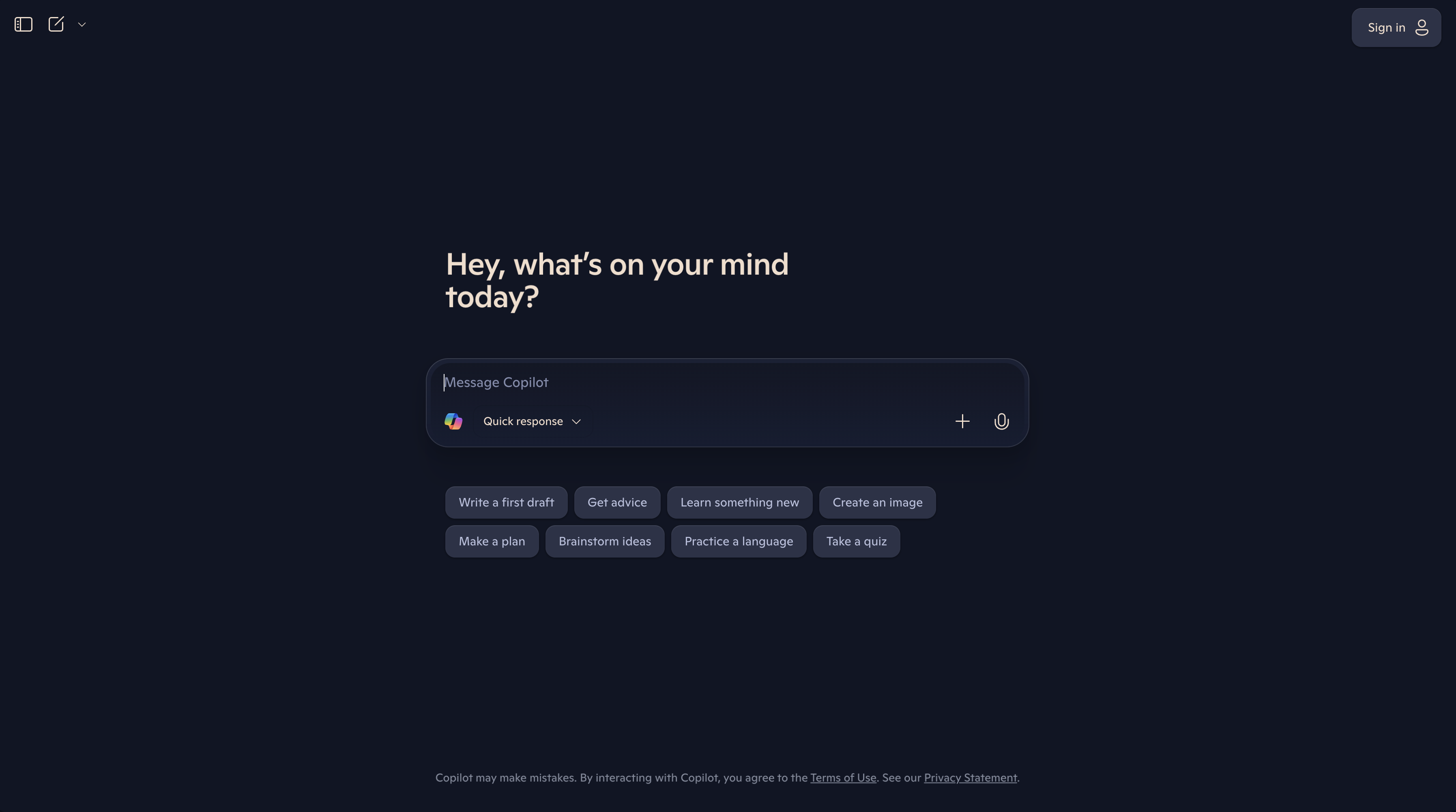 Copilot_View